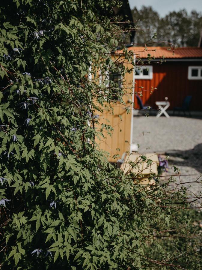 En Lantlig Idyll Med Skogen Precis Utanfoer Doerren! Villa Уларед Екстериор снимка