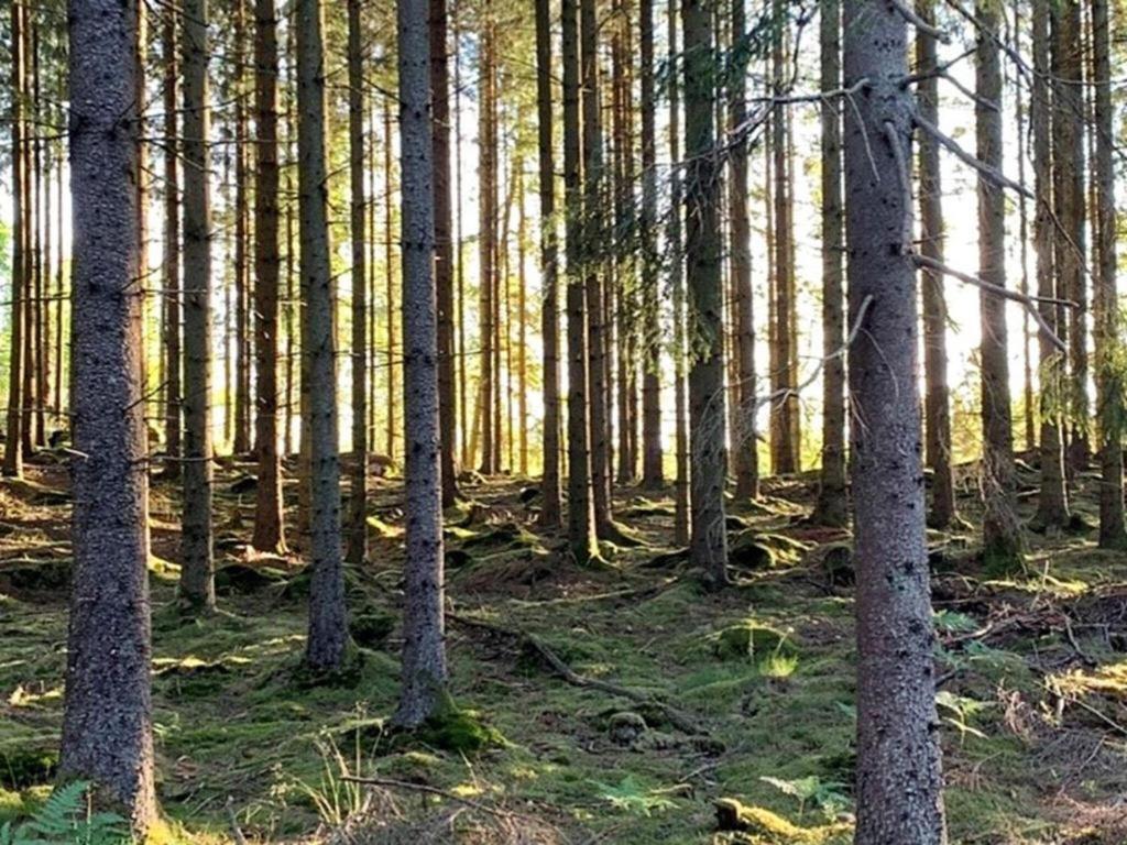 En Lantlig Idyll Med Skogen Precis Utanfoer Doerren! Villa Уларед Екстериор снимка